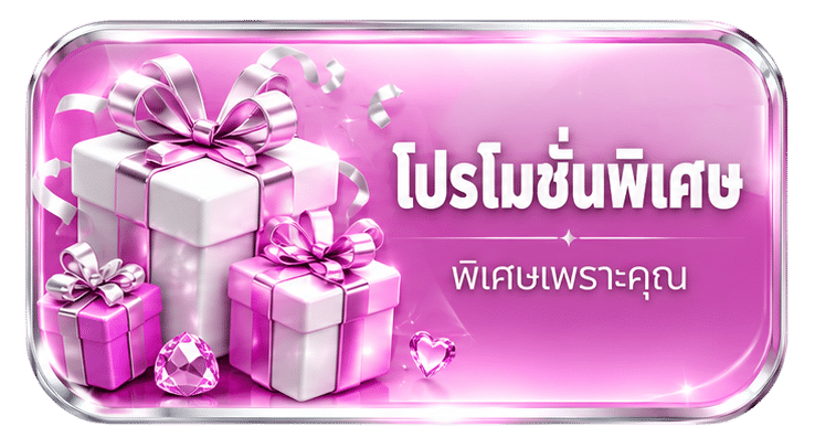 โปรโมชั่นพิเศษ